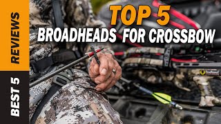 ✅ Top 5 Best Broadheads For Crossbow 2022  Tested amp Reviewed [upl. by Lizzy]