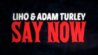 LIHO Adam Turley  Say Now Official Lyric Video [upl. by Meesak]