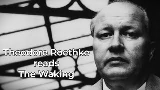 THEODORE ROETHKE reads quotThe Wakingquot [upl. by Meelak]