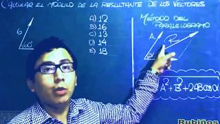 Vectores  Teoría  Ejercicios y Problemas Resueltos de Fisica [upl. by Mitzl]