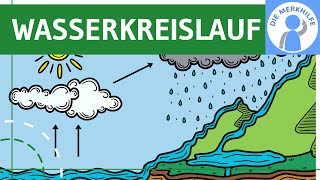 Wasserkreislauf  Begriff Ablauf Prozesse amp Globaler Kreislauf einfach erklärt  Ökologie  Bio [upl. by Valery]