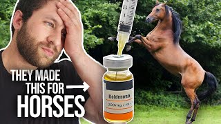 Equipoise quotHorse Steroidquot Boldenone Explained [upl. by Ettebab]