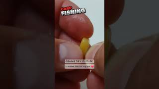 Effective and Practical Method for Carp Fishing  Fishing Tips fishing carpfishing [upl. by Rubie]