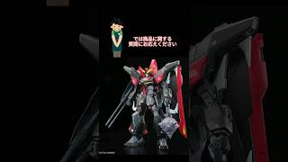 ガンプラ転売ヤーにクイズ レイダーガンダム ガンダムseed gundam ガンプラ [upl. by Retsim233]