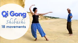 Qi Gong Shibashi 18 movements 18 Übungen [upl. by Sophie406]