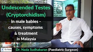 Undescended Testes Cryptorchidism in male babies  Causes Risks Treatment in Malaysia [upl. by Allyce63]