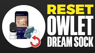 How To Reset Owlet Dream Sock 2024 [upl. by Ahsema]