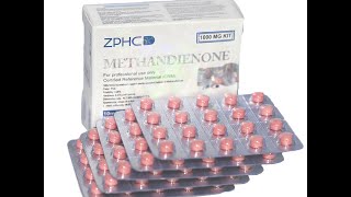 ZPHC Methandienone Dianabol 10mg 100 tablets [upl. by Aleakcim]