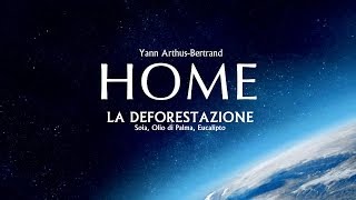 HOME  La Deforestazione Soia Olio di Palma Eucalipto  HD [upl. by Patterman750]