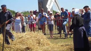 battage à lancienne  fête des moissons à Cleden Cap Sizun [upl. by Elletnahc]