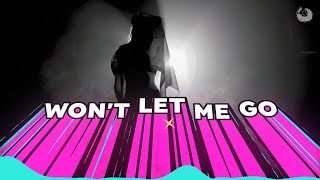 Harshil Kamdar  Wont Let Me Go OFFICIAL LYRIC VIDEO [upl. by Ainslie704]