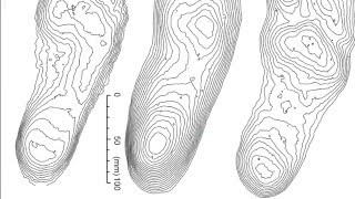 BU researchers use new software to uncover ancient footprints at Laetoli [upl. by Peednus]