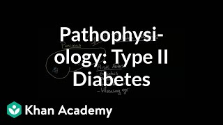 Pathophysiology  Type II diabetes  Endocrine system diseases  NCLEXRN  Khan Academy [upl. by Alleda648]