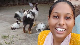 Rabbit ke bacche ko bahar chhat par nikal diye [upl. by Esinet986]