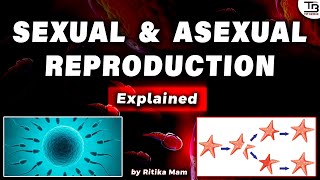 quotSexual amp Asexual Reproductionquot PSTET 2024 ਲਈ ਬਹੁਤ ਜਰੂਰੀ Topic 🎯 [upl. by Adnat]