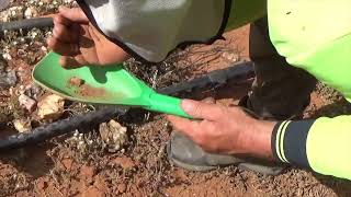 Paynes Find Gold Hunting Trip Outback Western Australia [upl. by Ennairek]