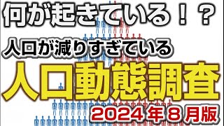 ＜速報＞人口動態調査 2024年8月 子どもの数は70万人切りが確定か！？ [upl. by Sotsirhc]