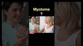 Testing Dermatomes Myotomes and DTRs shorts Part D [upl. by Arres432]