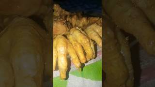 Chicken Legs 🍗 chicken shorts streetfood asianstreetfood ChickenLegPiece [upl. by Bumgardner529]