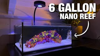 Setting up my New Nano Reef Tank Step by Step Tutorial [upl. by Ermanno]