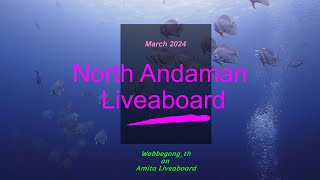 2024 03 North Andaman with Amita Liveaboard  Thailand [upl. by Nolham]