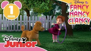 Fancy Nancy Clancy  Hundtricket 🐕 Disney Junior Sverige [upl. by Jolenta980]