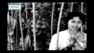 OST Sri Mersing 1961  Damak ku Sayang  Siti Mariam [upl. by Green]