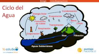 Ciclos Biogeoquímicos [upl. by Marba]