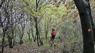 Bosbeheer op Noord [upl. by Diskson]