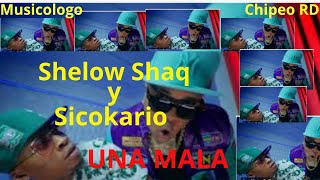 EL SICOKARIO FT SHELOW SHAQ  UNA MALAchipeo [upl. by Hras700]