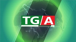 Tg News 7 Aprile 2024 [upl. by Plume]