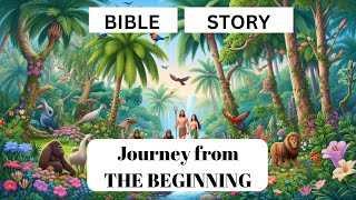 Gods 7Day Creation Journey from the Beginning  Animated Bible Story for Kids [upl. by Kovacs]