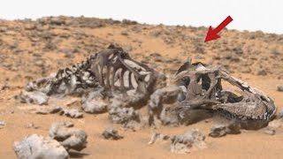 Incredible Video Footage from Mars Perseverance Rover Released Stunning Landscape of Mars Sol 1309 [upl. by Atinel]