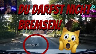 Der Fahrlehrer reagiert auf quotEure Videos Fahrnünftigquot [upl. by Rannug195]