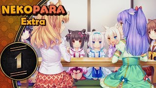 Nekopara Extra PC Blind Lets Play  Scared Kitties  Part 1 [upl. by Nirre715]