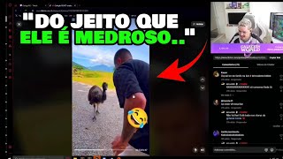 GALEGUINS REAGINDO AO CORINGA COM MEDO DOS ANIMAIS NO SAFARI COM TAINA E BOCA DE 09 [upl. by Duj]