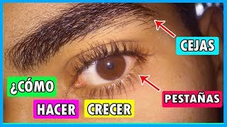 👉Haz CRECER TUS CEJAS 🙂 en 7 DÍAS Jossue [upl. by Aehsal]