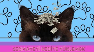 Sermayeyi Kediye Yüklemek [upl. by Oren968]