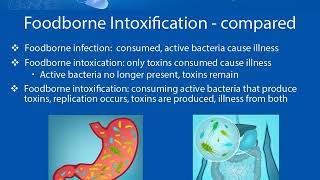 Food Borne Illness  Defines and explains the differences between the 3 types of foodborne illness [upl. by Doralynne]