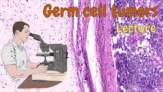 Pathology  Germ cell tumors ENG [upl. by Iggem406]