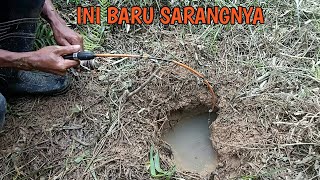 SARANG IKAN LEMBAT BESAR DI LUBANG PURBA [upl. by Romilda]