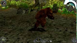 Werebear Druid  Diablo 2 Fallen [upl. by Pudens]