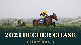 WHAT A BRAVE WIN CHAMBARD WINS THE BOYLESPORTS BECHER CHASE [upl. by Akered]