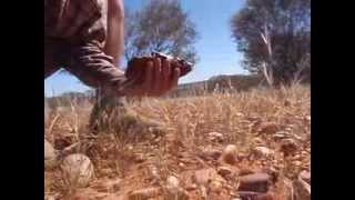 5kg meteorite found while prospecting for gold Central Australia [upl. by Elisa770]