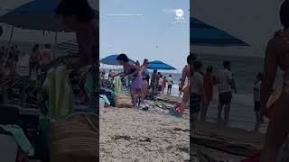 Massive swarm of dragonflies invades beach in Rhode Island [upl. by Fabrin]