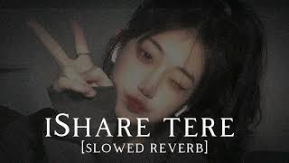 iShare tere slowed reverb ❤️‍🩹❤️‍🩹❤️‍🩹😎😎song [upl. by Attelrahs]