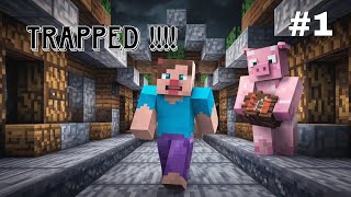 “Trapped in an SMP My Wild Encounter with the Pig King” [upl. by Nnyladnarb]