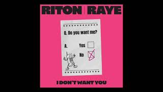 I Don’t Want You RAYE Riton Acapella [upl. by Alanson130]