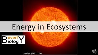 Energy in Ecosystems updated [upl. by Austine]