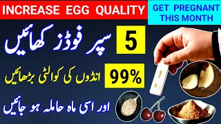 5 Supper Foods To increase Egg Quality 99 And Get Pregnant This Month How To Conceive dr tahir [upl. by Nivek145]